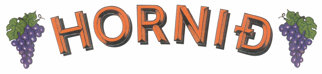 Hornið